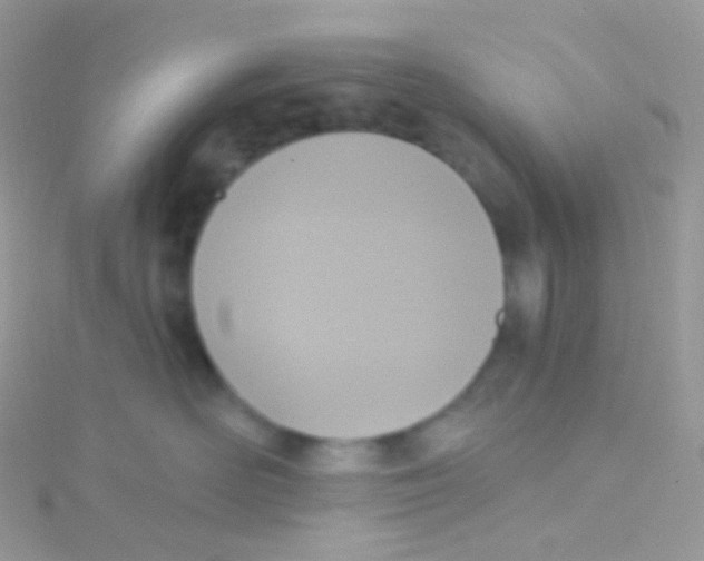 X0000115420526200911241351