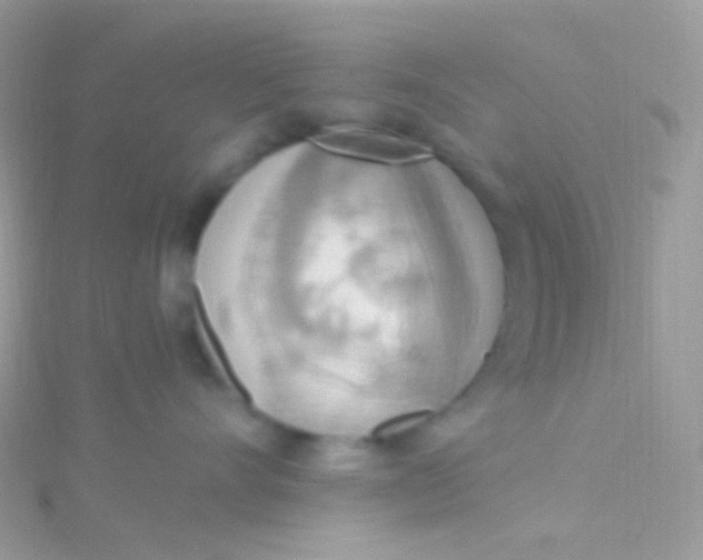 X0000115420528200911241351