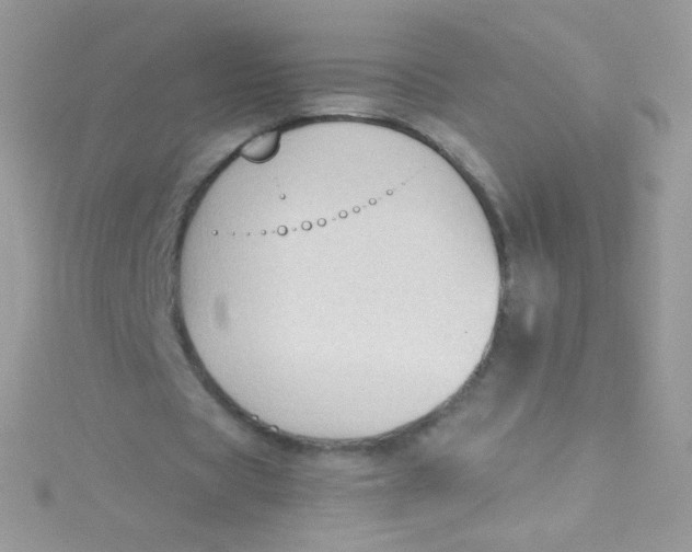 X0000115420529200911241350