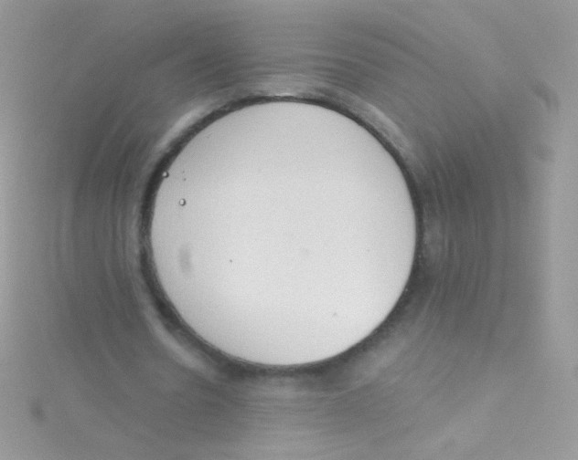 X0000115420530200911241350