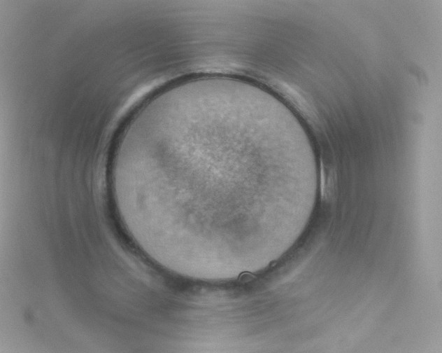 X0000115420531200911241350