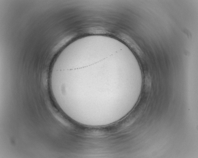 X0000115420533200911241350