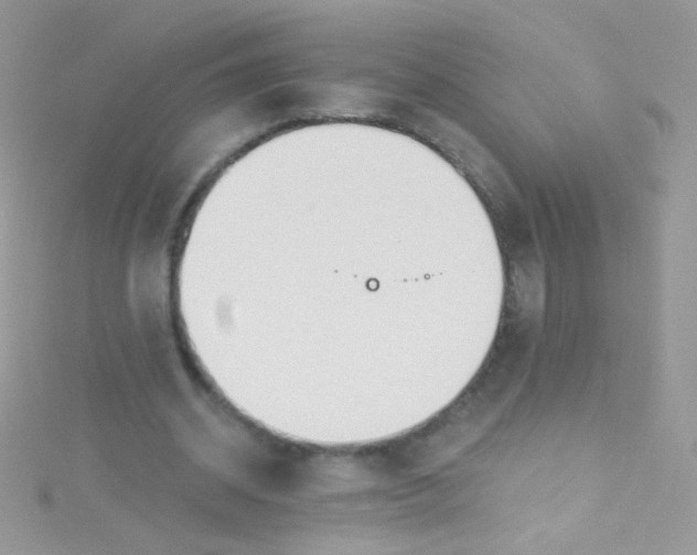 X0000115420534200911241350