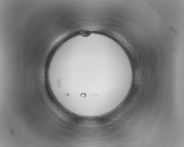 X0000115420535200911241350