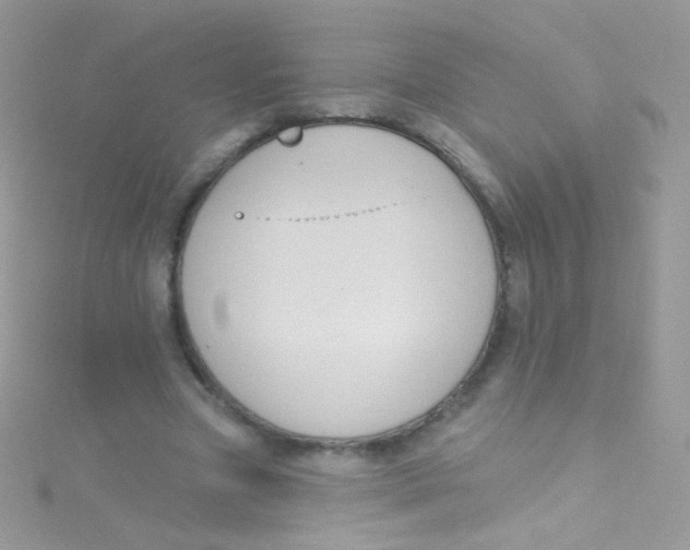 X0000115420537200911241350