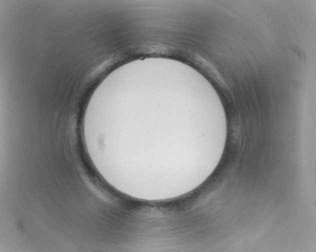 X0000115420538200911241350