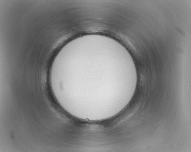 X0000115420539200911241350