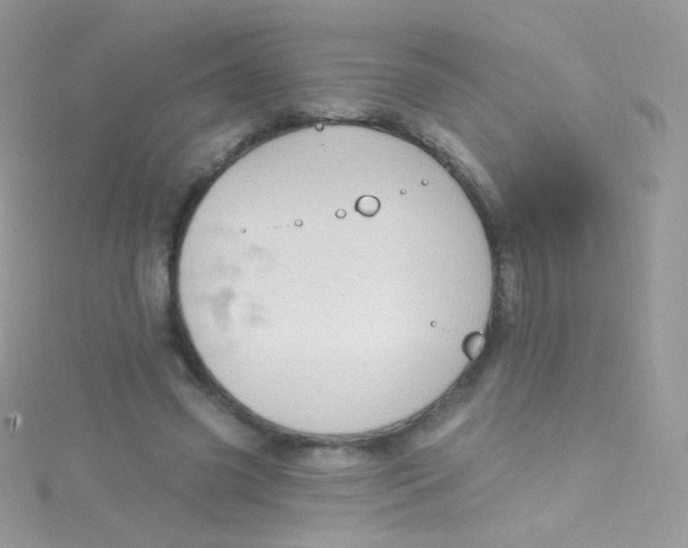 X0000115420541200911241350