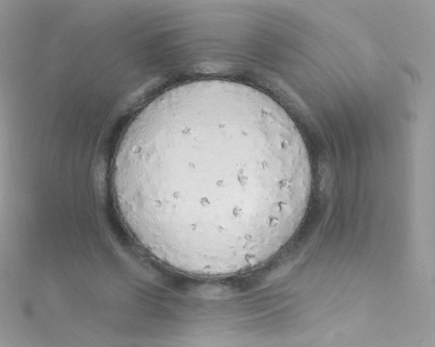 X0000115420542200911241350