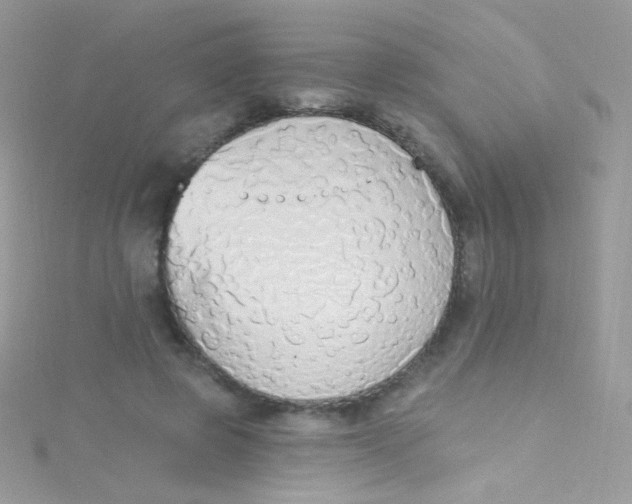 X0000115420545200911241350