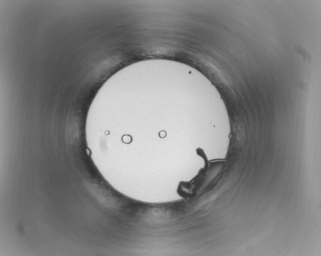 X0000115420546200911241350