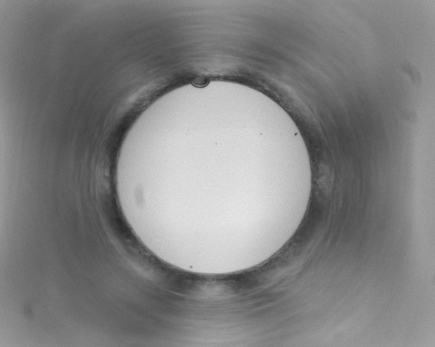 X0000115420547200911241350