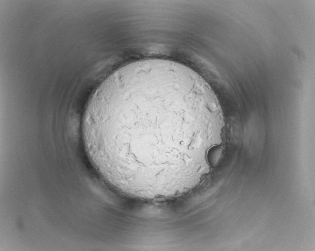 X0000115420550200911241350