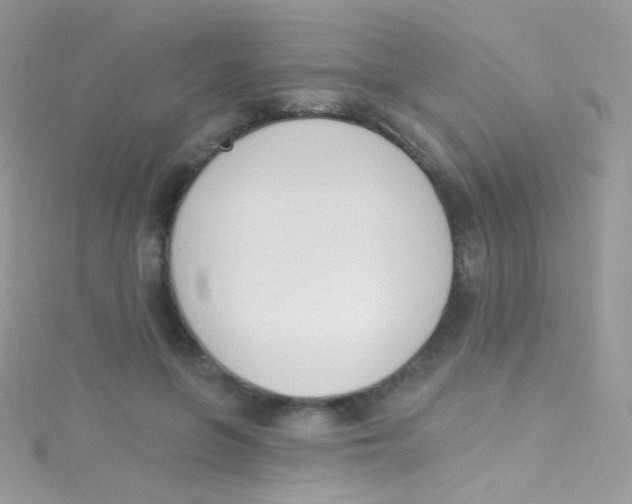 X0000115420551200911241350