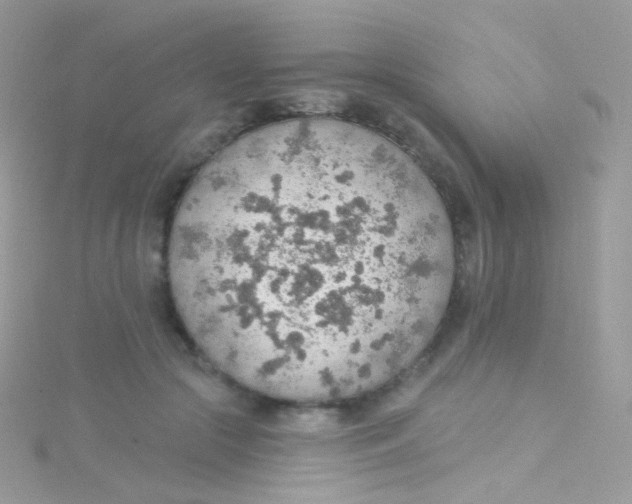 X0000115420553200911241350