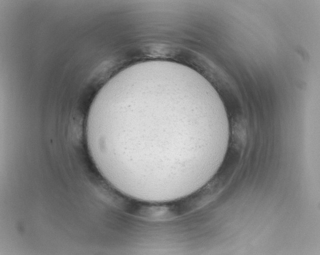 X0000115420554200911241350