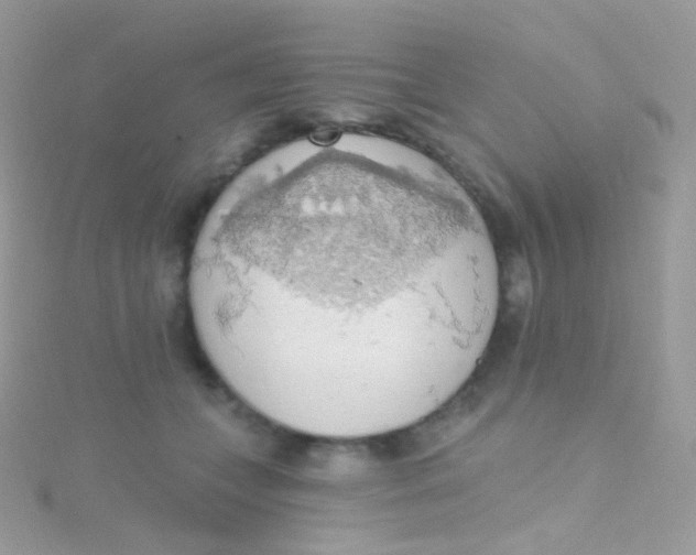 X0000115420559200911241350