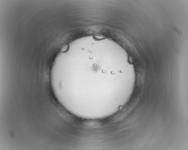 X0000115420561200911241350