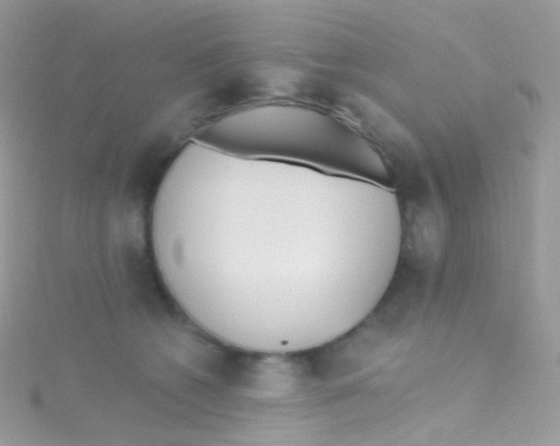 X0000115420562200911241350