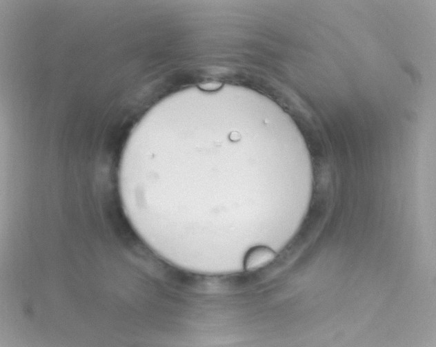 X0000115420565200911241350