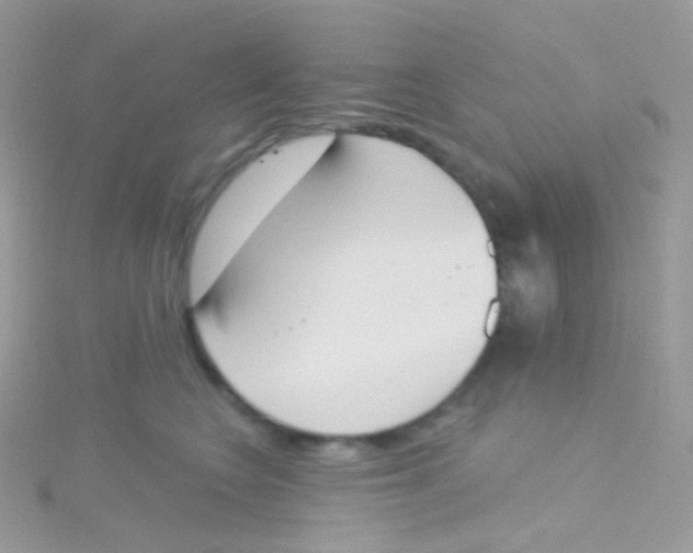 X0000115420566200911241350