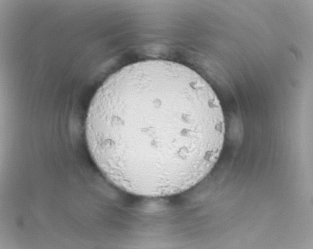 X0000115420569200911241350