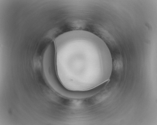 X0000115420570200911241351