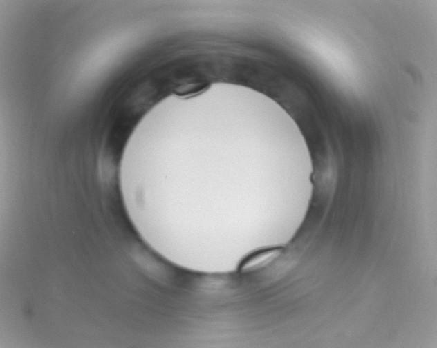 X0000115420574200911241351