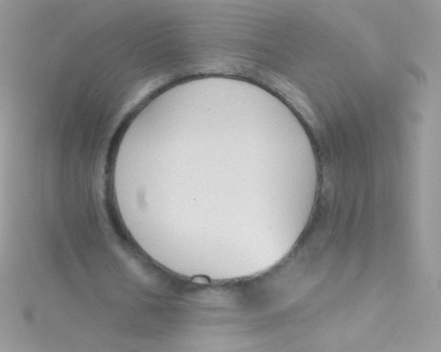 X0000115420578200911241350