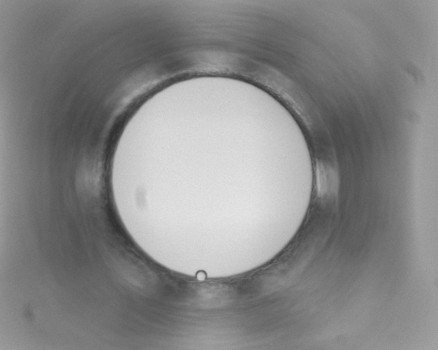 X0000115420579200911241350