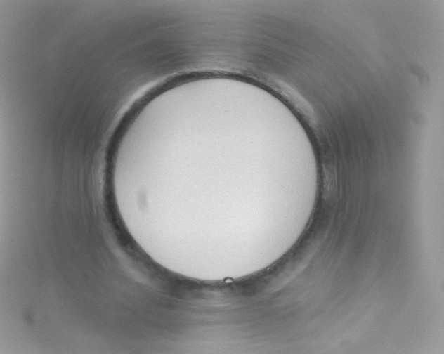 X0000115420580200911241350