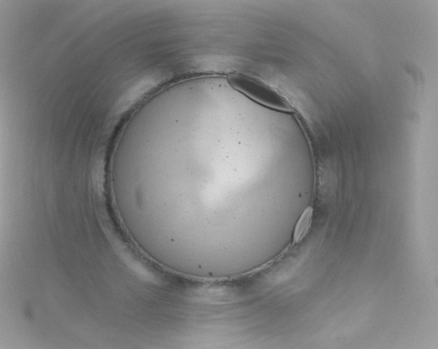 X0000115420581200911241350