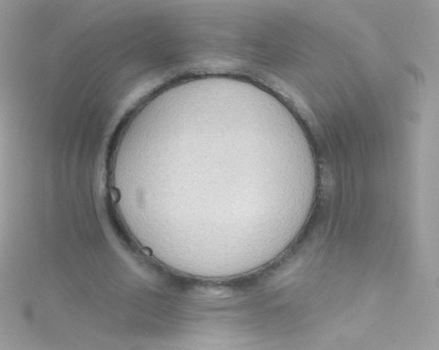 X0000115420582200911241350