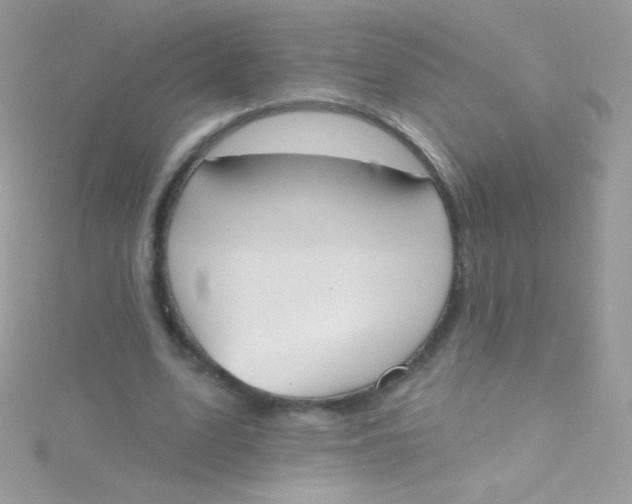 X0000115420583200911241350