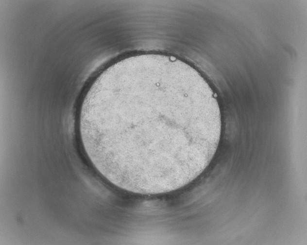 X0000115420584200911241350