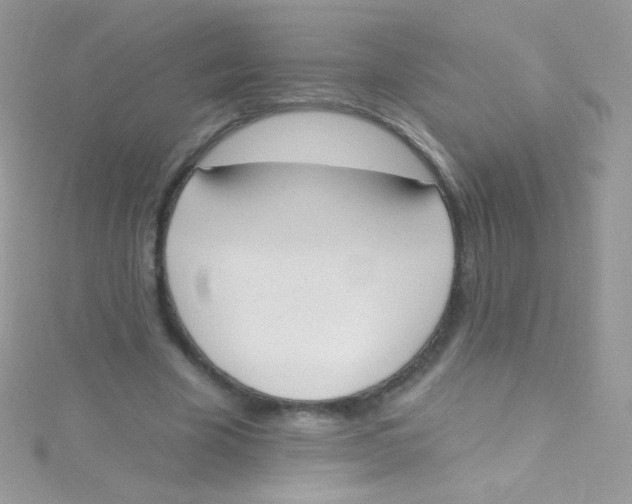 X0000115420585200911241350