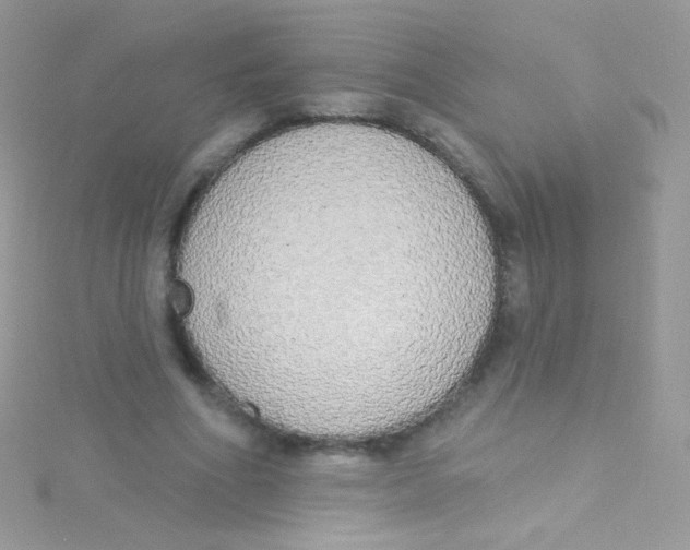 X0000115420586200911241350