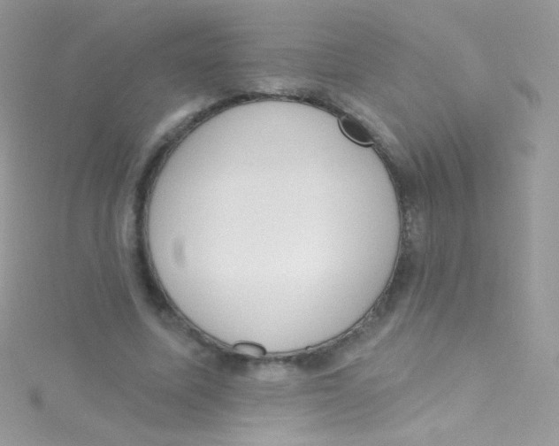 X0000115420587200911241350