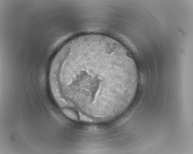 X0000115420588200911241350