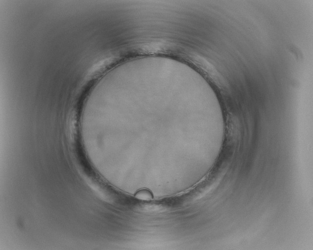 X0000115420590200911241350