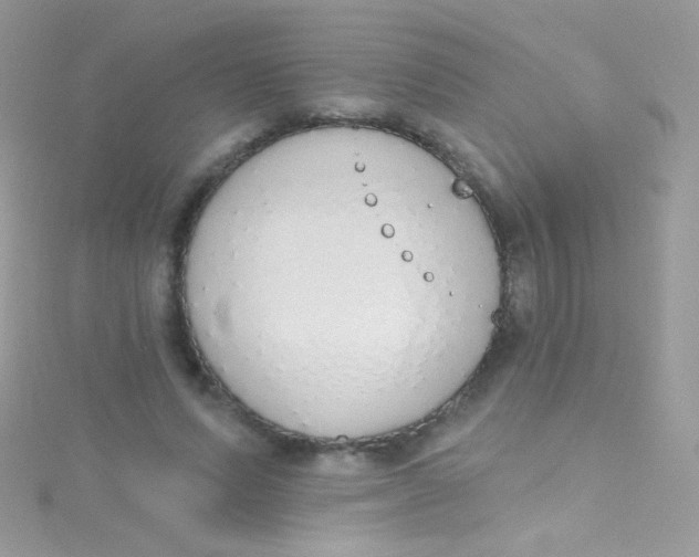 X0000115420591200911241350