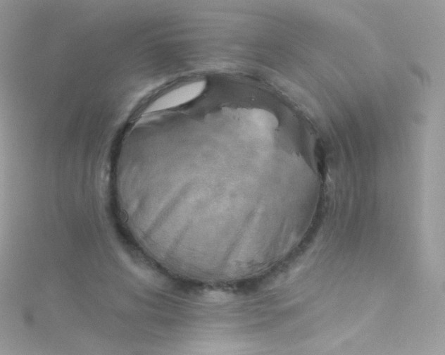 X0000115420592200911241350