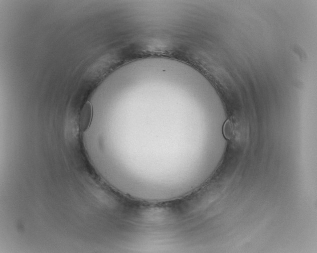 X0000115420593200911241350