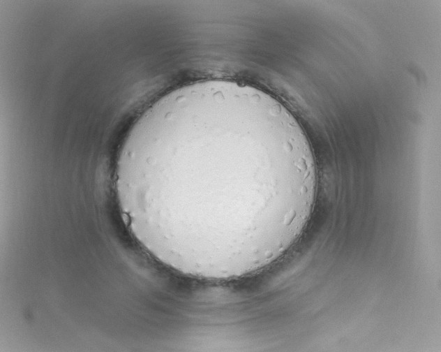 X0000115420594200911241350