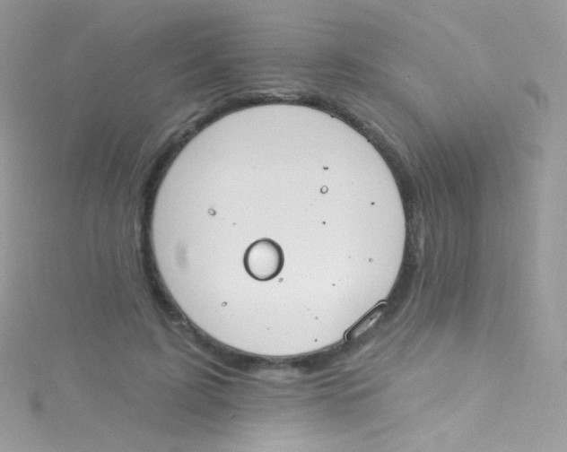 X0000115420595200911241350