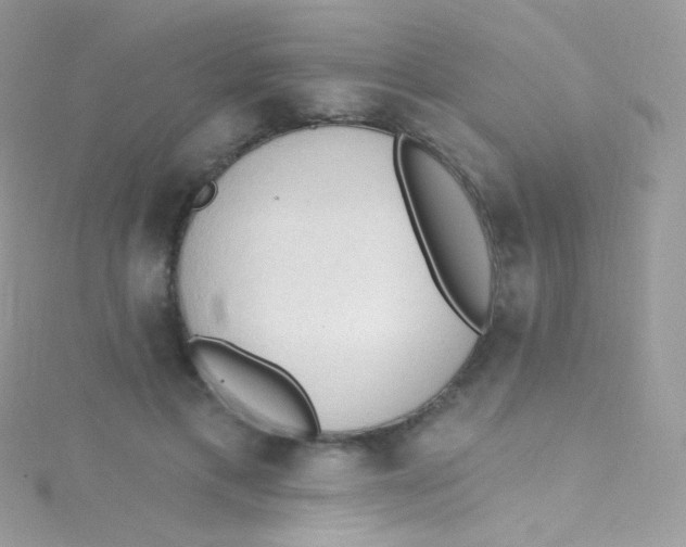 X0000115420597200911241350