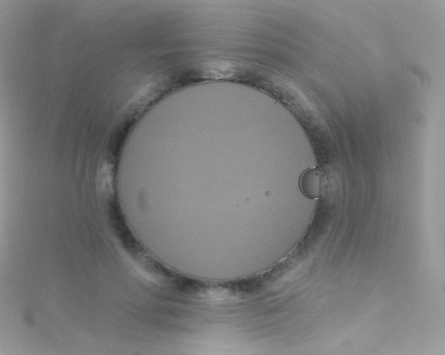 X0000115420598200911241350