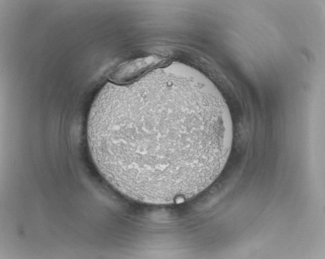 X0000115420600200911241349