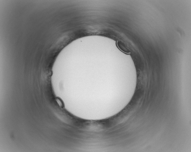 X0000115420601200911241349