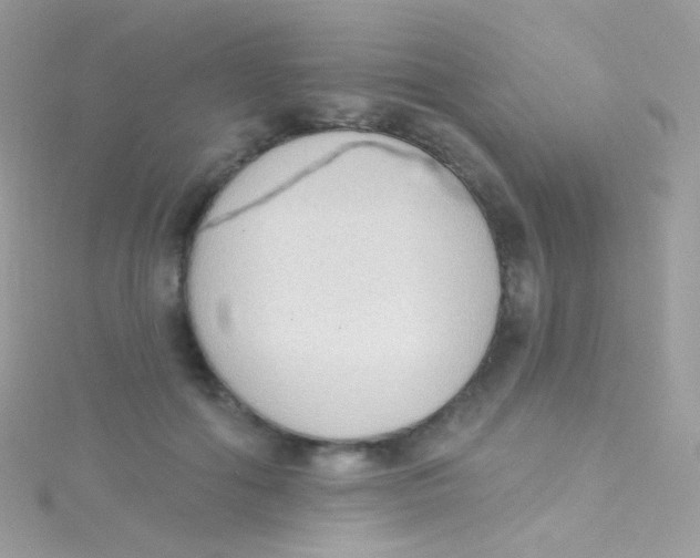 X0000115420602200911241349